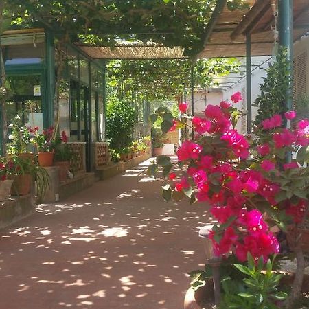 Villa Dei Fiori B&B Capri Luaran gambar