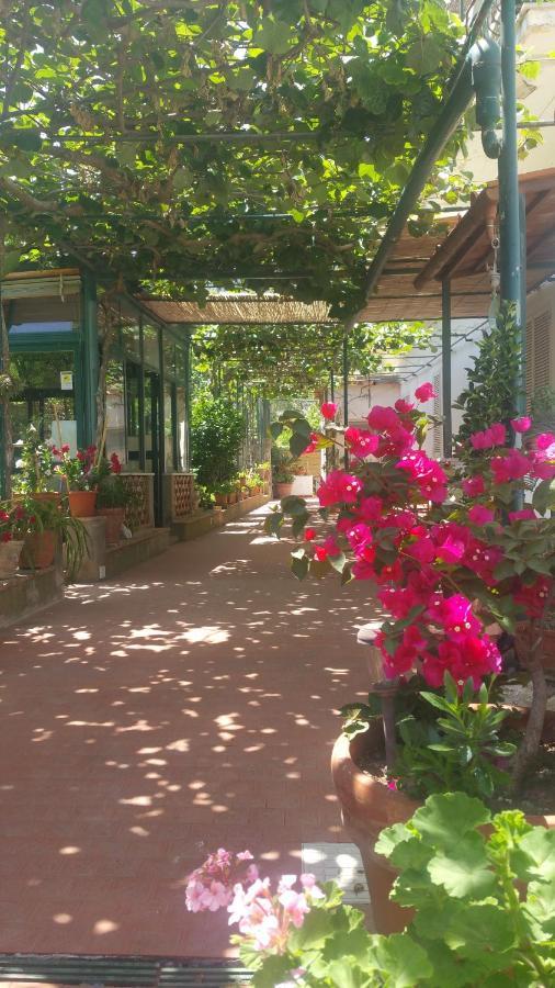 Villa Dei Fiori B&B Capri Luaran gambar