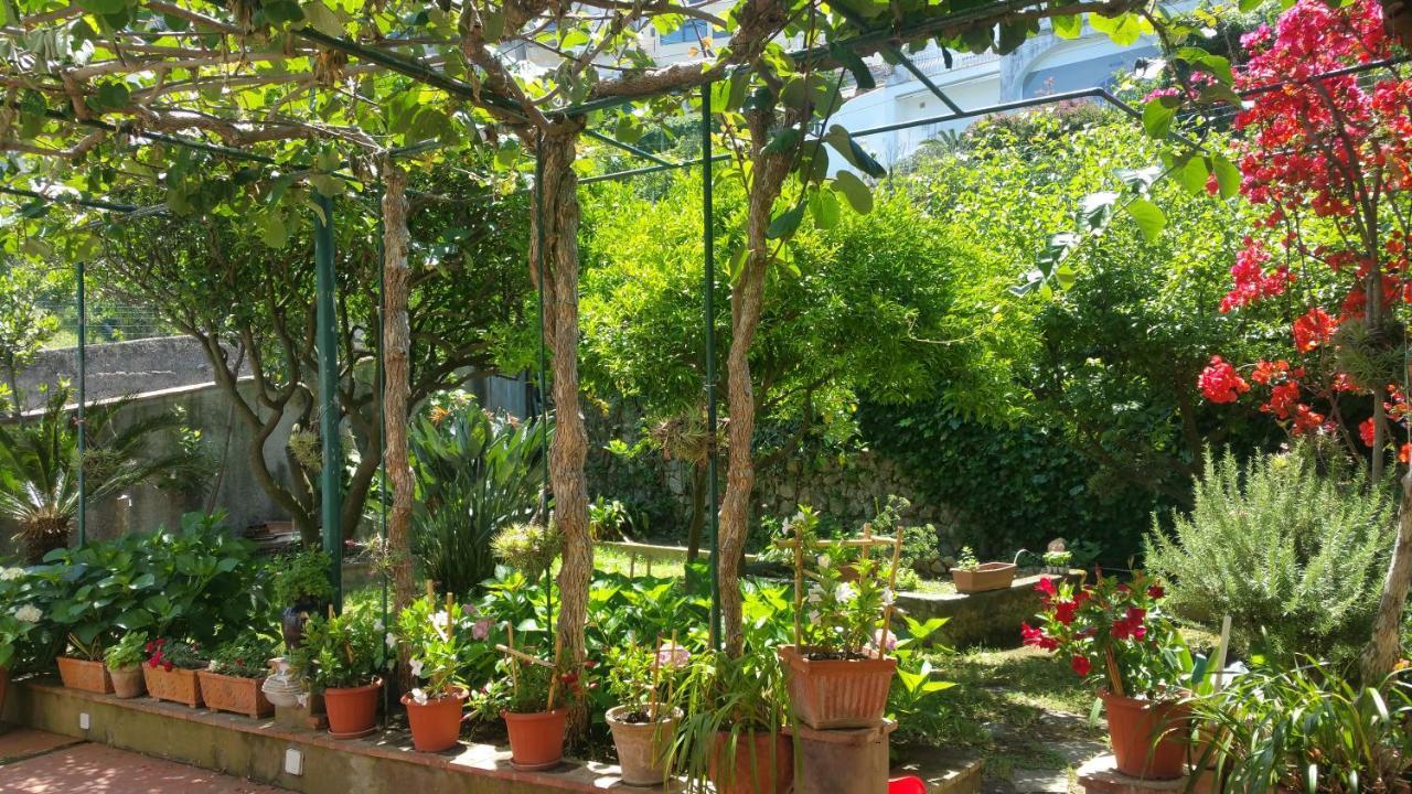 Villa Dei Fiori B&B Capri Luaran gambar