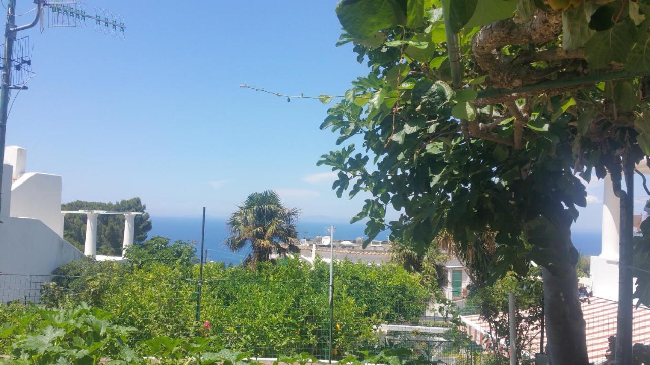 Villa Dei Fiori B&B Capri Luaran gambar