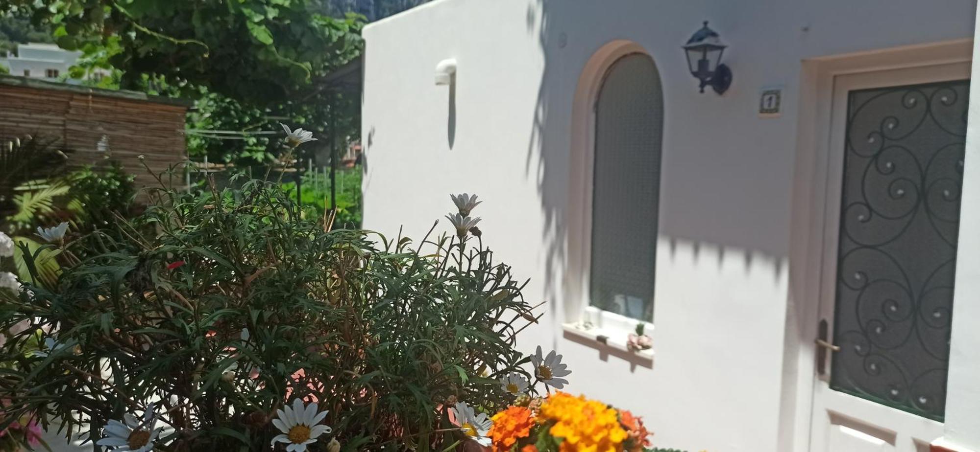 Villa Dei Fiori B&B Capri Luaran gambar