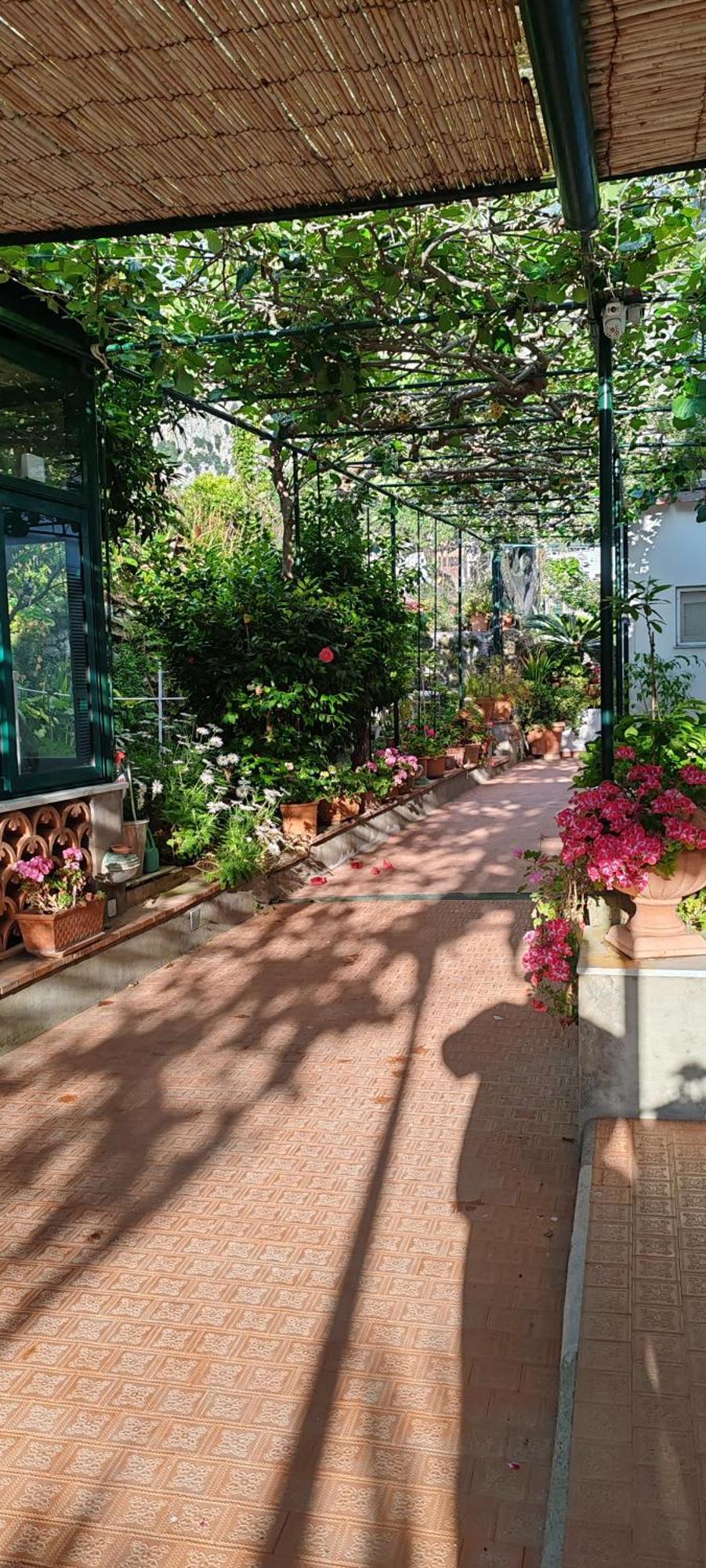 Villa Dei Fiori B&B Capri Luaran gambar